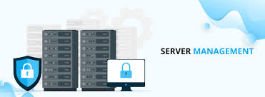 Management Software